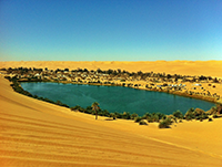 oasis