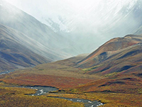tundra image